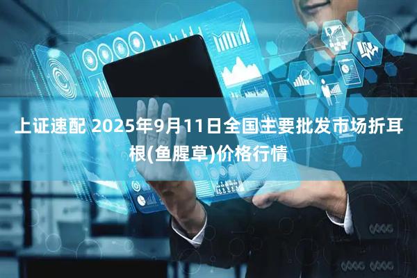 上证速配 2025年9月11日全国主要批发市场折耳根(鱼腥草)价格行情