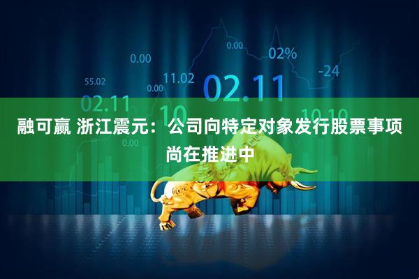 融可赢 浙江震元：公司向特定对象发行股票事项尚在推进中