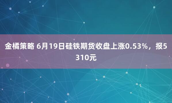 金橘策略 6月19日硅铁期货收盘上涨0.53%，报5310元