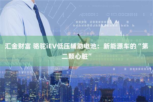 汇金财富 骆驼iEV低压辅助电池：新能源车的“第二颗心脏”